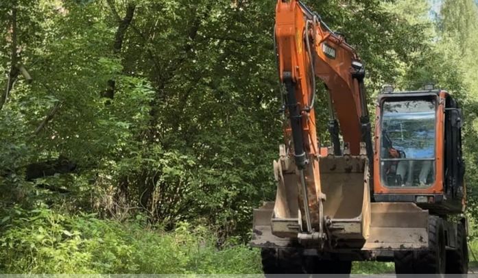 রাশিয়ায় উদ্যান রক্ষায় আন্দোলনে নেমেছেন স্থানীয়রা